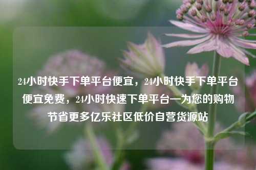 24小时快手下单平台便宜，24小时快手下单平台便宜免费，24小时快速下单平台—为您的购物节省更多亿乐社区低价自营货源站  第1张